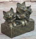 Load image into Gallery viewer, Three Cute Kittens Cats in a Flower Box - Bronze Sculpture Original Art by Milo
