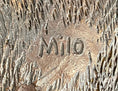 Load image into Gallery viewer, Signed Original Friendly Cat Feline Bronze Art Deco Marble Base Sculpture Figure
