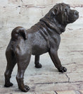 Load image into Gallery viewer, Hot Cast Bronze Shar Pei Dog Sculpture Statue Figurine Original Art
