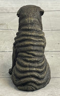 Load image into Gallery viewer, Shar Pei Puppy Dog Bronze Metal Sculpture Figurine Signed Original Art
