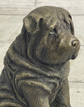 Load image into Gallery viewer, Shar Pei Puppy Dog Bronze Metal Sculpture Figurine Signed Original Art
