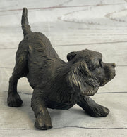 Cavalier King Charles Spaniel Puppy Dog Bronze Metal Sculpture Statue Figurine