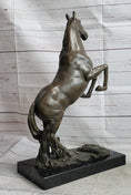 Load image into Gallery viewer, Rearing Arabian Horse Stallion Bronze Statue Sculpture Figure Equestrian Farm Stable Decor
