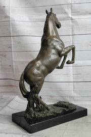 Rearing Arabian Horse Stallion Bronze Statue Sculpture Figure Equestrian Farm Stable Decor