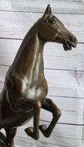 Load image into Gallery viewer, Rearing Arabian Horse Stallion Bronze Statue Sculpture Figure Equestrian Farm Stable Decor

