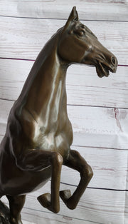 Rearing Arabian Horse Stallion Bronze Statue Sculpture Figure Equestrian Farm Stable Decor