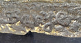 Load image into Gallery viewer, Standing Lion Bronze Sculpture – Detailed Wildlife Artwork on Marble Base
