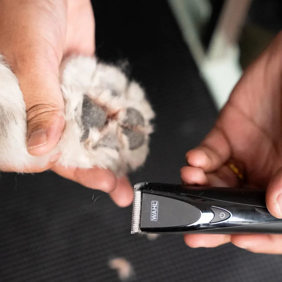 Pet Fidela Cordless Trimmer by Wahl
