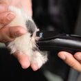 Load image into Gallery viewer, Pet Fidela Cordless Trimmer by Wahl
