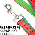 Load image into Gallery viewer, EcoBark Watermelon Dog Leash- Padded Comfort Grip Leash - 4ft, 5ft, and 6ft Leash for Small and Medium Dogs
