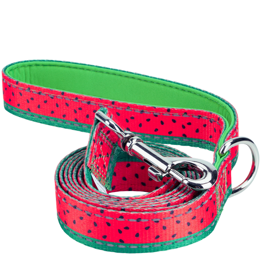 EcoBark Watermelon Dog Leash by Southlake Paws, featuring a vibrant watermelon design with padded comfort grip, available in 