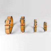 Sky Blue Cross Dog Collar