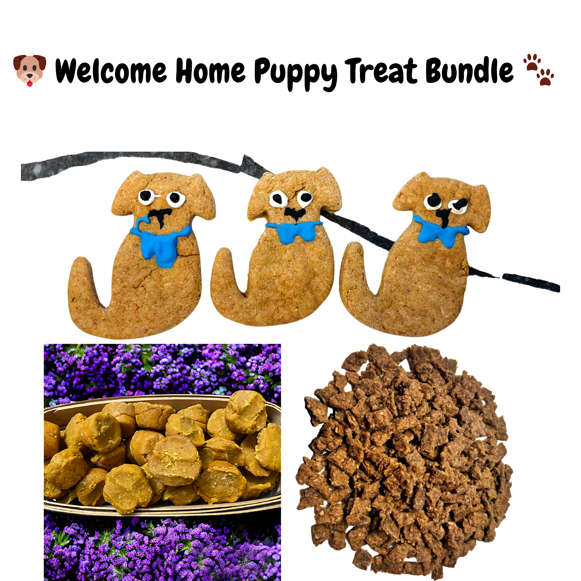 Organic Welcome Home Puppy Treat Bundle Dog Treats