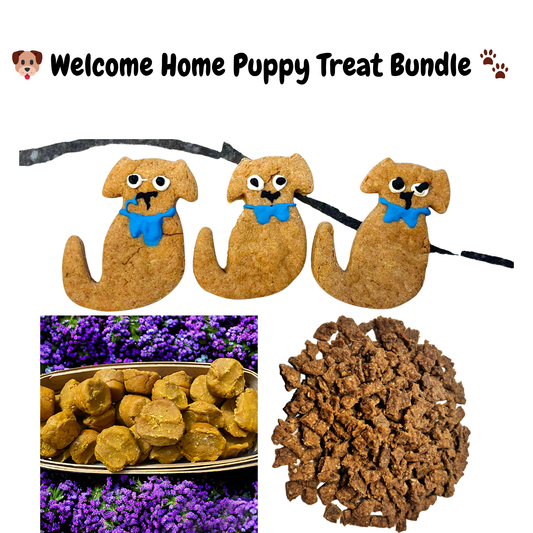 Organic Welcome Home Puppy Treat Bundle Dog Treats