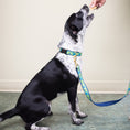 Load image into Gallery viewer, Whale Dog Lead
