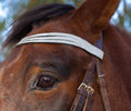 Load image into Gallery viewer, Royal Silver Browband by Southlake Paws, featuring a sparkling silver design on a horse's bridle.
