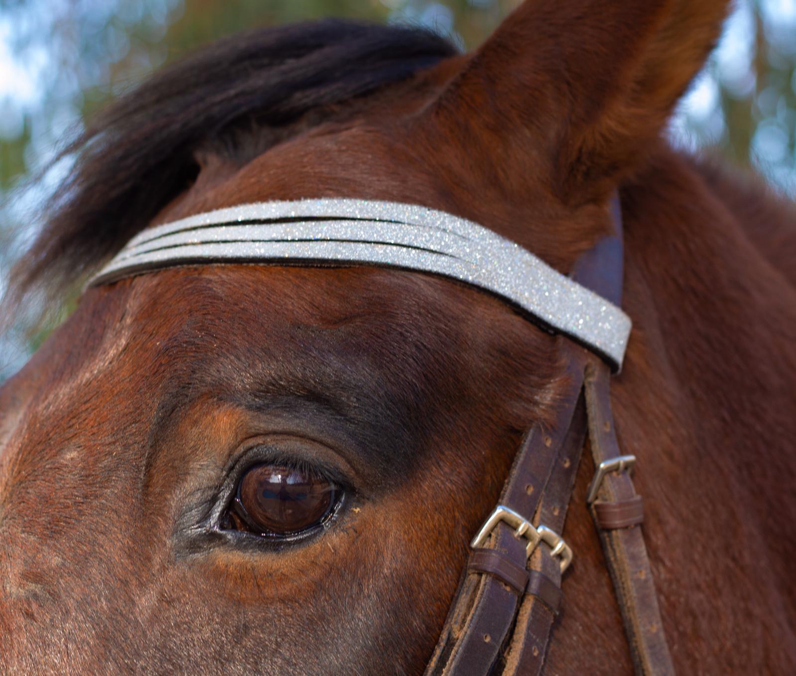 Royal Silver Browband by Southlake Paws, featuring a sparkling silver design on a horse's bridle.