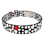 White Hearts Dog Collar