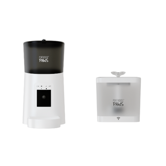 Smart HD Feeder & Water Fountain