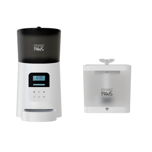 Automatic Cat Feeder & Smart Water Fountain