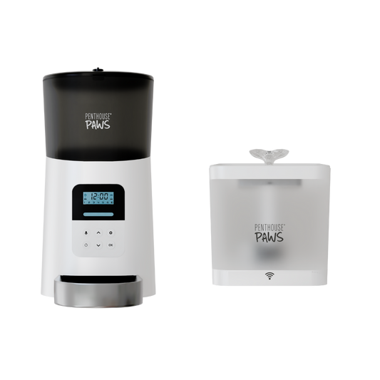 Automatic Cat Feeder & Smart Water Fountain