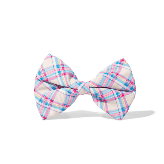 Whitley Dog Bow Tie