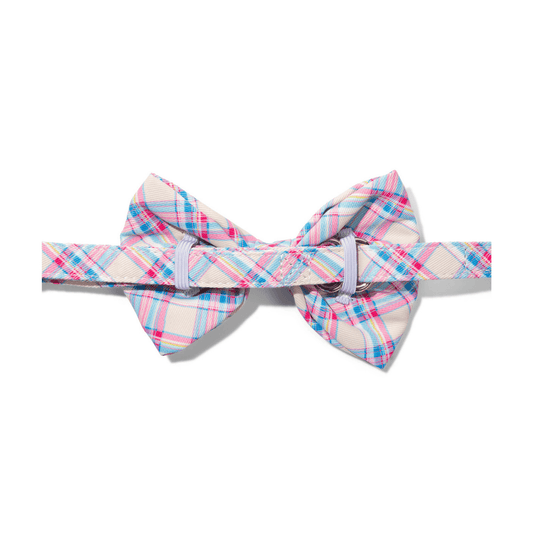 Whitley Dog Bow Tie