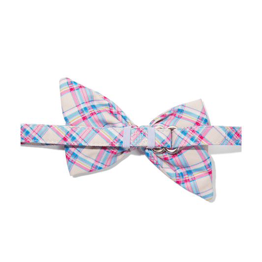 Whitley Dog Babe Bow