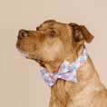 Load image into Gallery viewer, Whitley Dog Bow Tie
