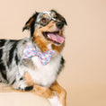 Load image into Gallery viewer, Whitley Dog Babe Bow

