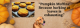 Load image into Gallery viewer, Organic Pumpkin Muffins for Dogs and
