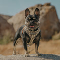 Load image into Gallery viewer, Wild Thing Reversible Harness - Southlake Paws

