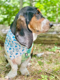 Load image into Gallery viewer, Wild and Free Camping Bandana
