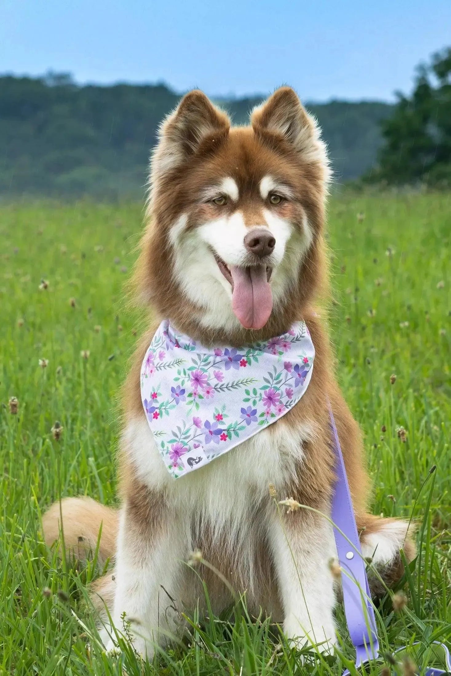 Wildflower Meadow Dog Bandana & Matching Keychain - Southlake Paws