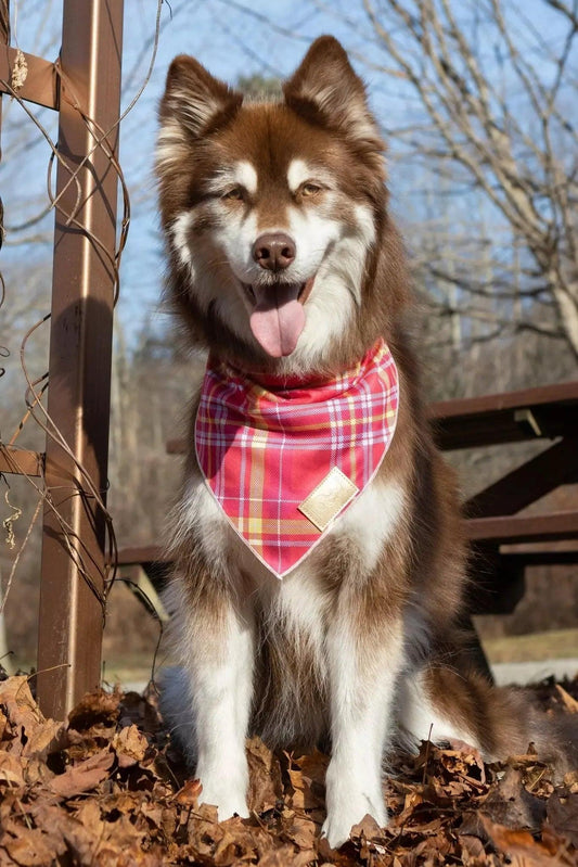 Wine Plaid Dog Bandana - Southlake Paws