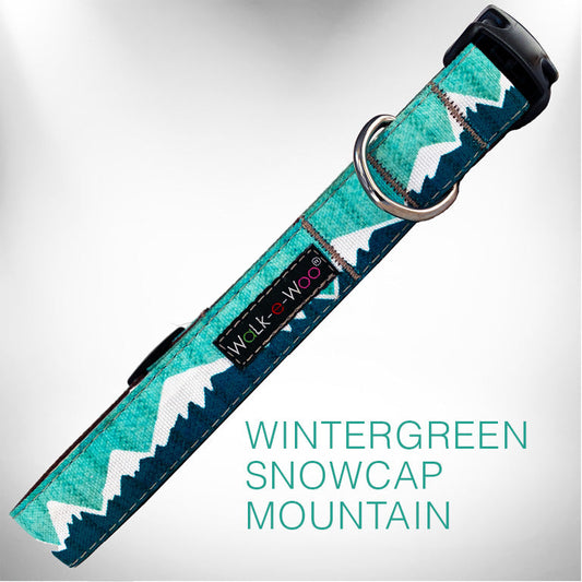 Mountain Dog Collars and Leads - 5 Styles