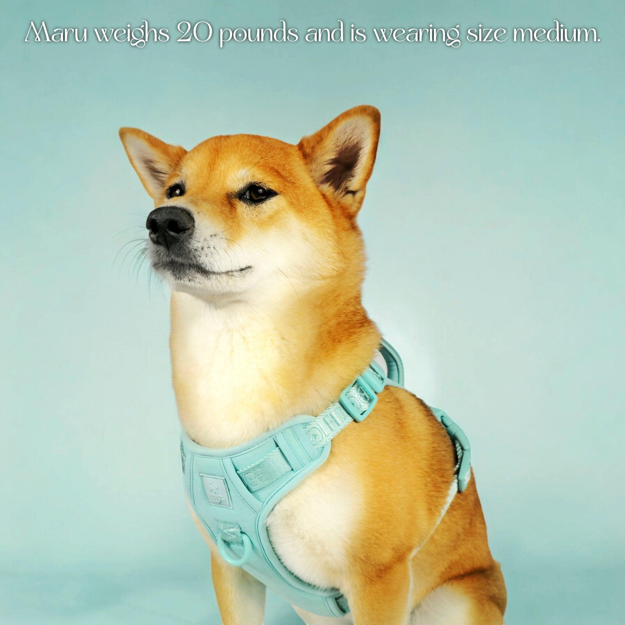 Wolfdoge Signature Harness - Southlake Paws