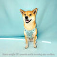 Load image into Gallery viewer, Wolfdoge Signature Harness - Southlake Paws
