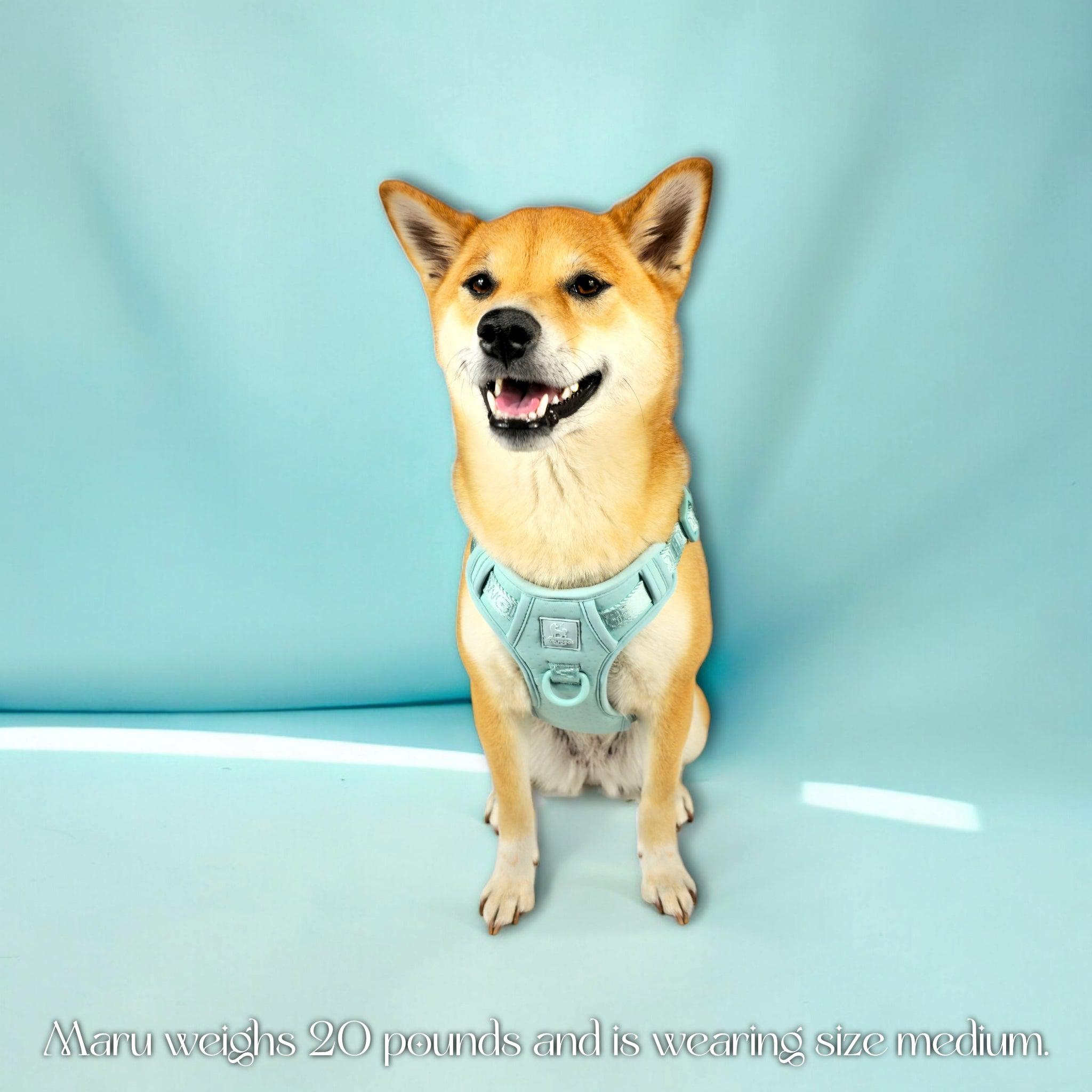 Wolfdoge Signature Harness - Southlake Paws