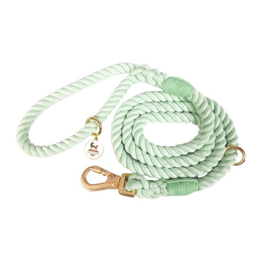 Rope Leash - Southlake Paws