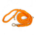 Load image into Gallery viewer, Rope Leash - Southlake Paws
