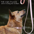 Load image into Gallery viewer, Waterproof Collar - Southlake Paws
