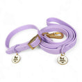 Load image into Gallery viewer, Waterproof Leash - Southlake Paws
