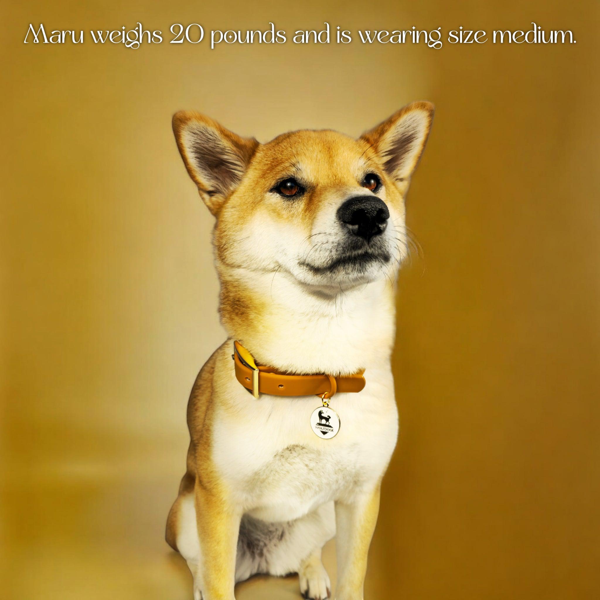 Waterproof Collar - Southlake Paws