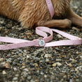 Load image into Gallery viewer, Waterproof Leash - Southlake Paws
