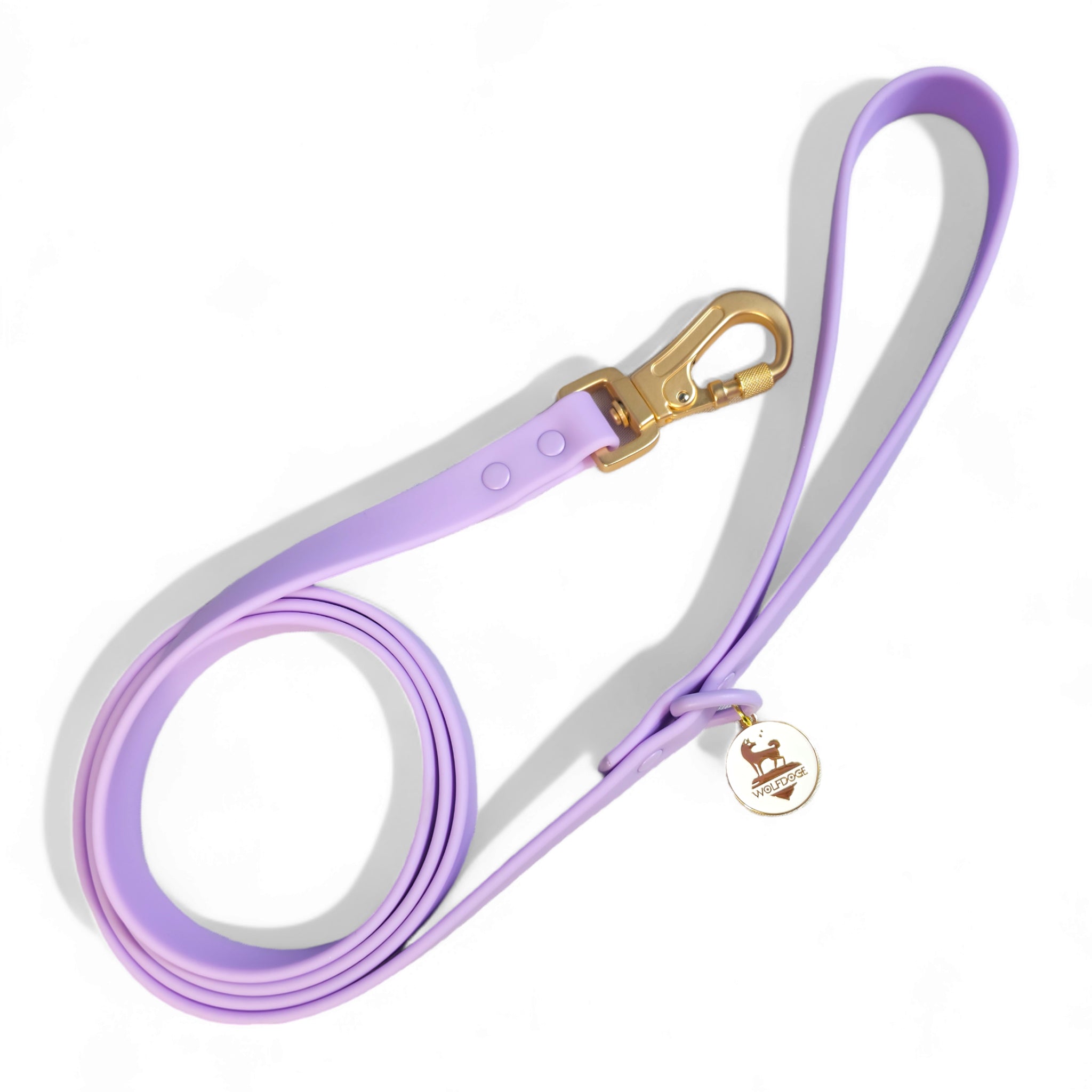 Waterproof Leash - Southlake Paws