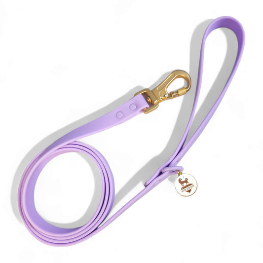 Waterproof Leash - Southlake Paws