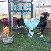 Wrangler® Desert Poster Hoodie