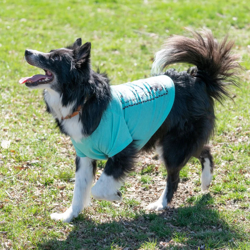 Wrangler® Desert Poster Tee for Pets