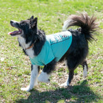 Wrangler® Desert Poster Tee for Pets